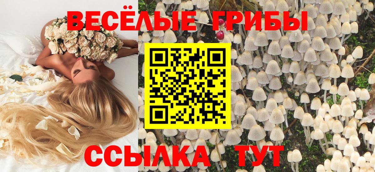 Галлюциногенные грибы прущие грибы Моздок