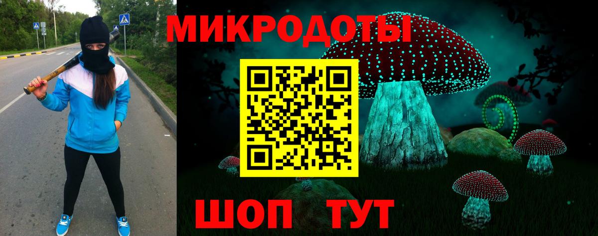 где купить   Вход с VPN  Моздок  Псилоцибиновые грибы GOLDEN TEACHER 